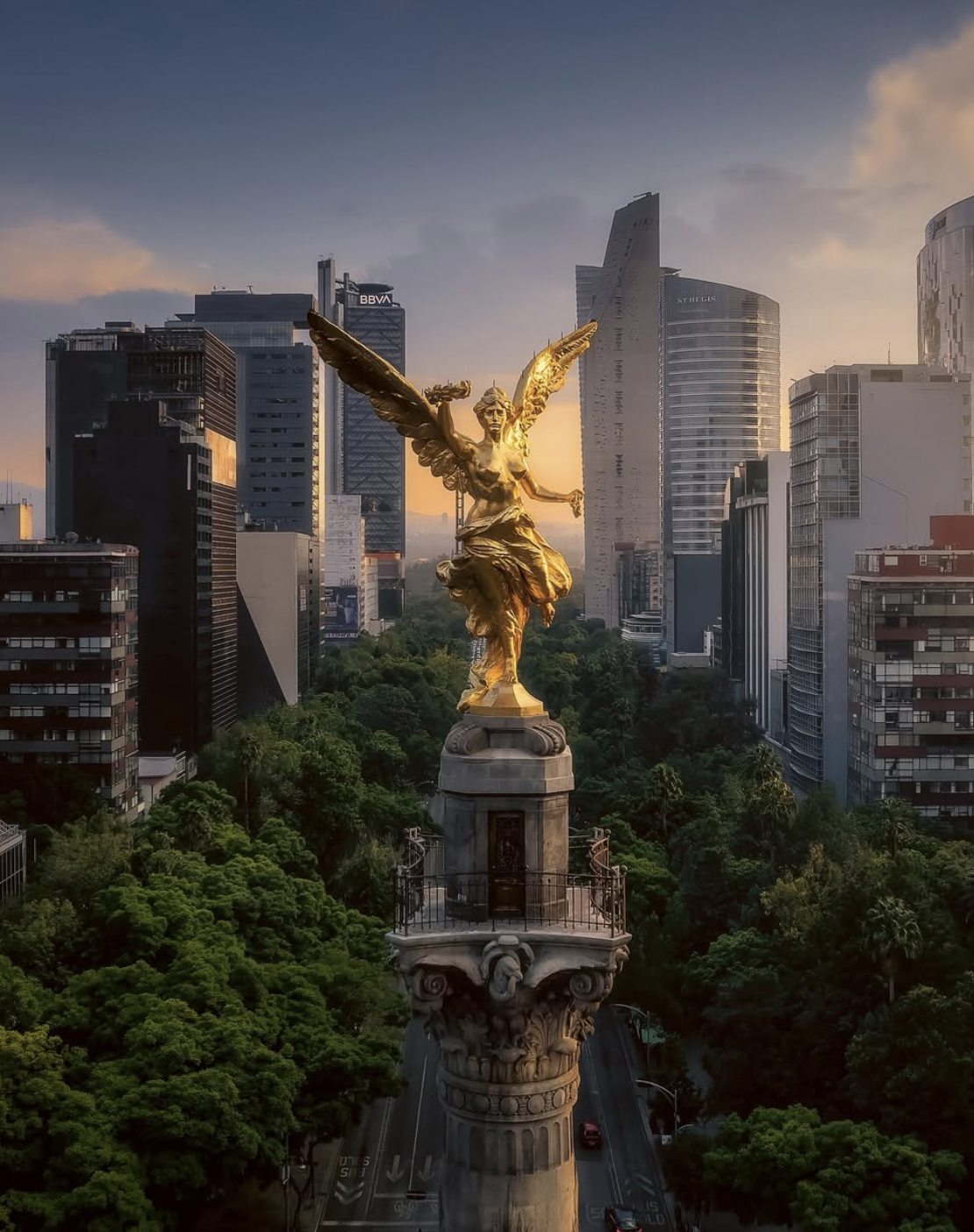 El Ángel de la Independencia at sunset with jacaranda blooms on Paseo de la Reforma